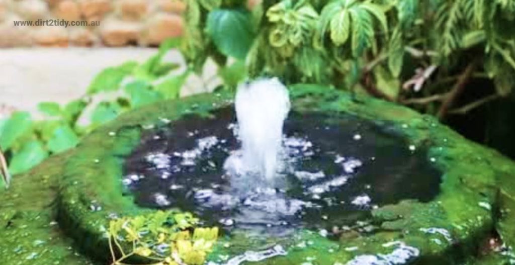 carpet steam cleaning