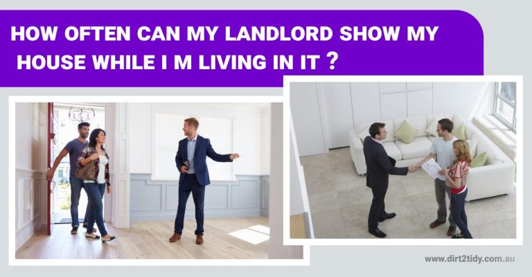 landlord