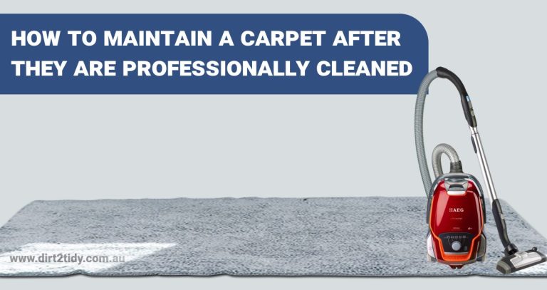 carpet steam cleaning