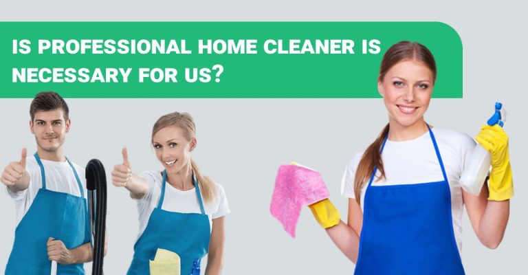 professional home cleaner