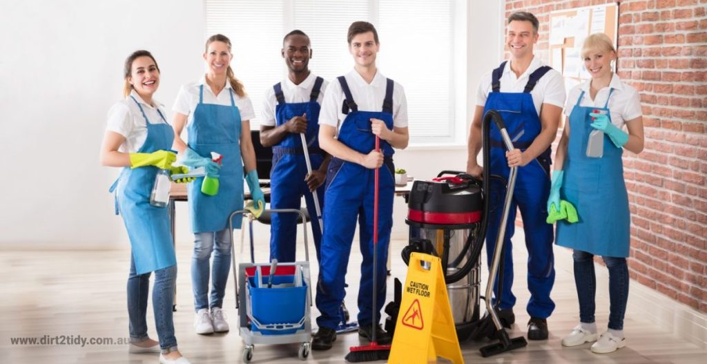 Is professional home cleaner is necessary for us? 2 professional home cleaner