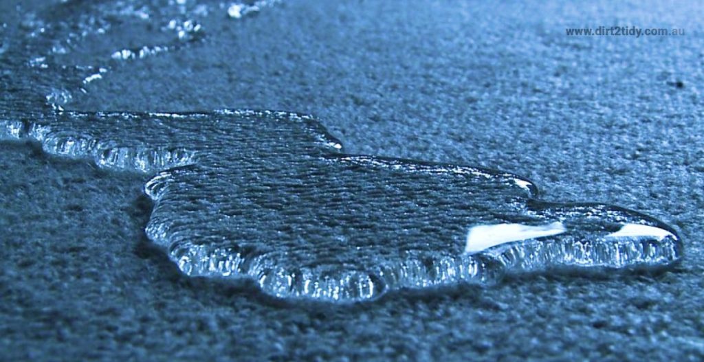 What do I do when I spill water on my carpet? 1 water on my carpet