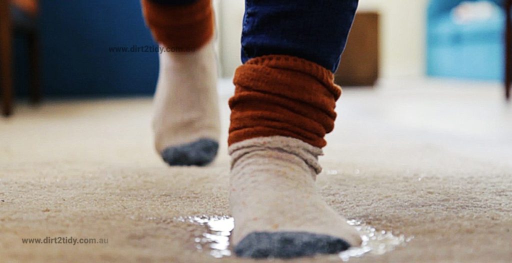 What do I do when I spill water on my carpet? 2 water on my carpet