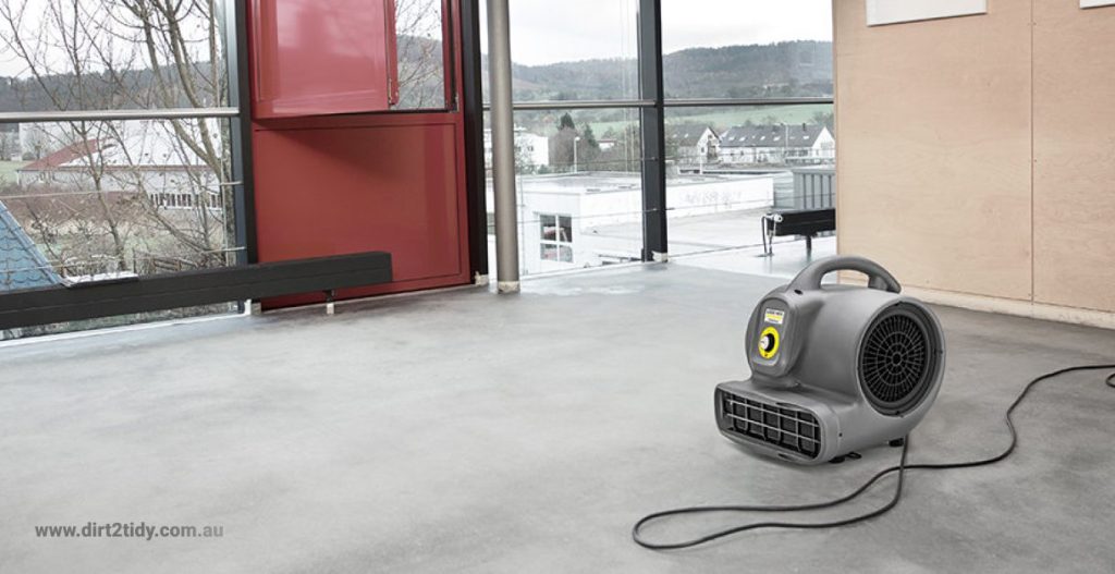 What do I do when I spill water on my carpet? 3 water on my carpet