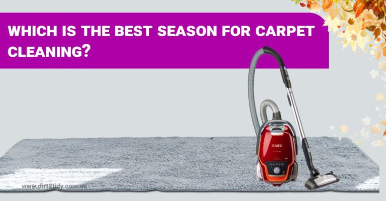 carpet cleaning