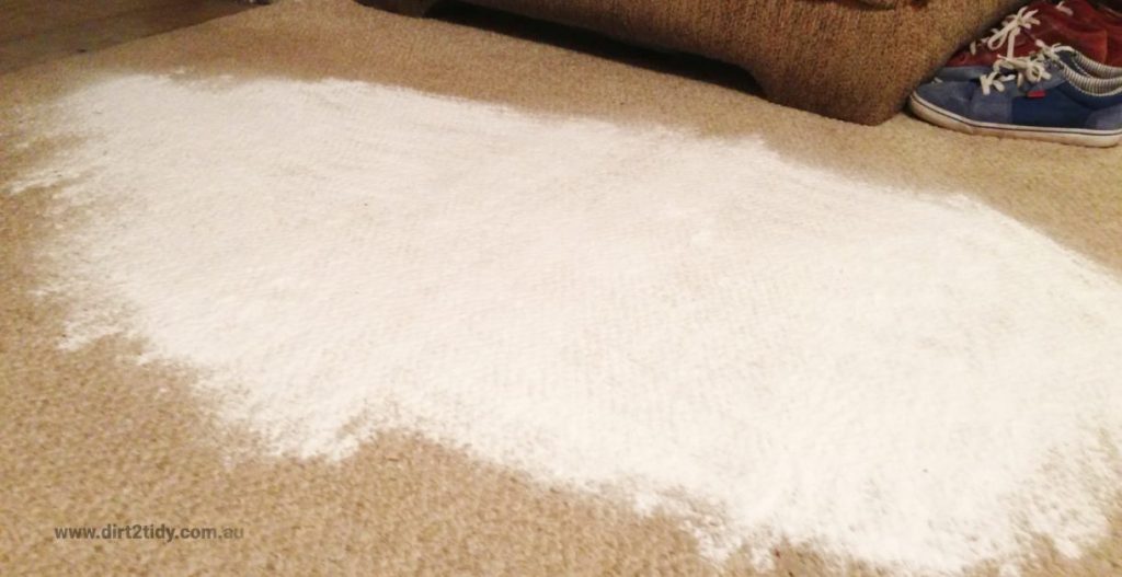 carpet steam cleaning