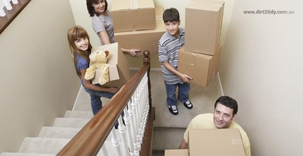 carpet steam cleaning