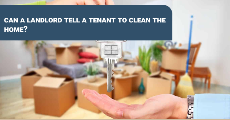 tenant to clean the home