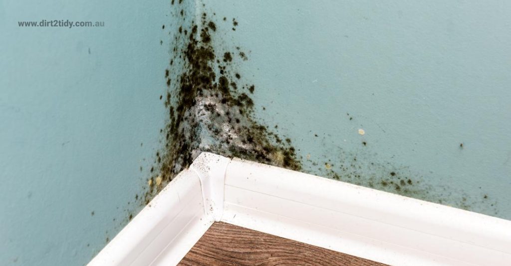 Can a landlord tell a tenant to clean the home 1