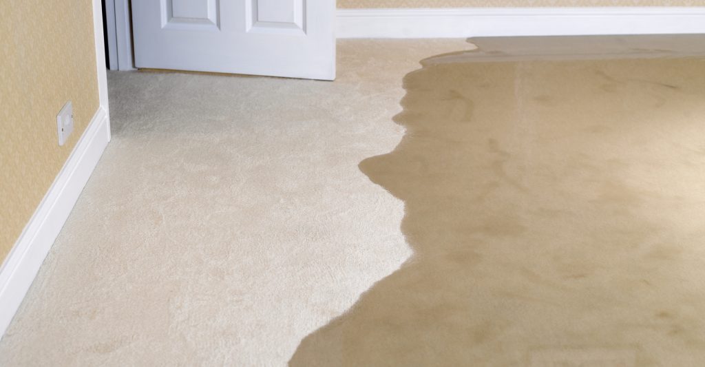 Is steam cleaning bad for your carpet? 4 Is steam cleaning bad for your carpet 3