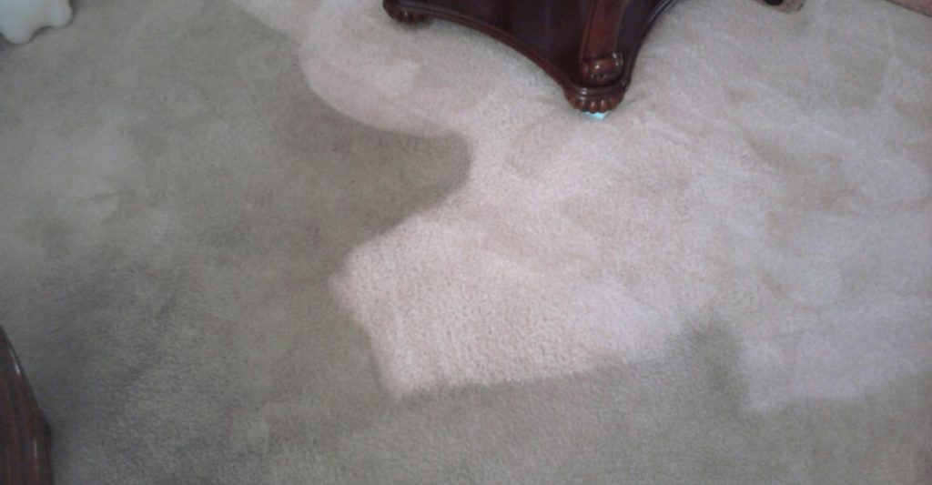 end of lease cleaning