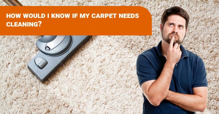 carpet needs