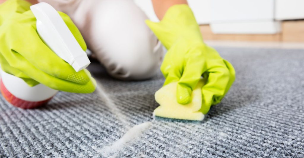 carpet cleaning