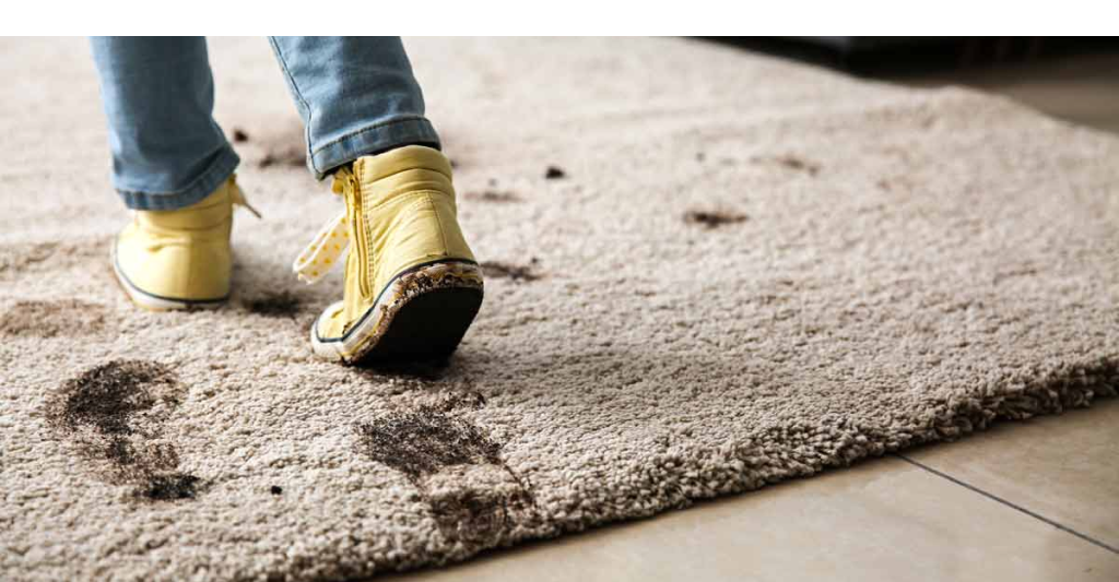 carpet cleaning