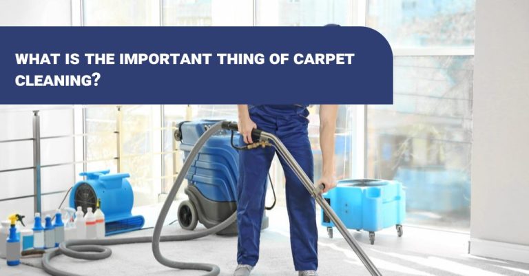carpet cleaning