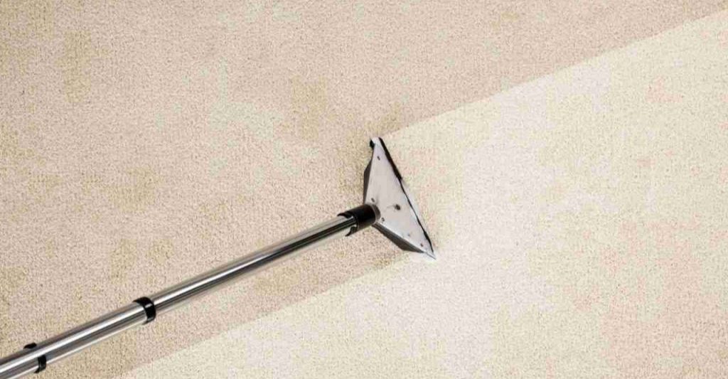 Why should we use an organic carpet cleaning service 1 3