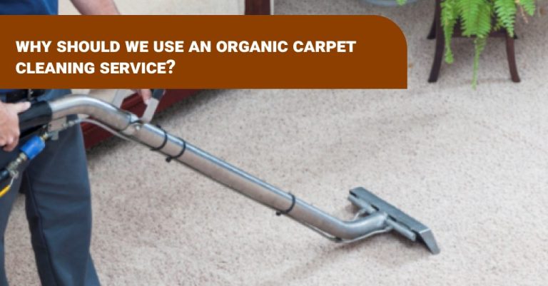 organic carpet cleaning