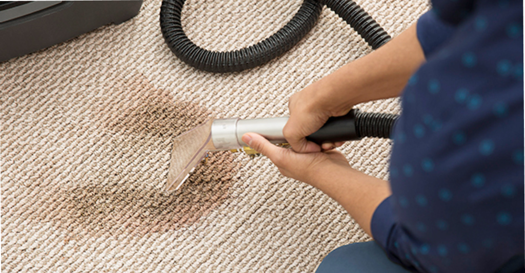 carpet cleaning
