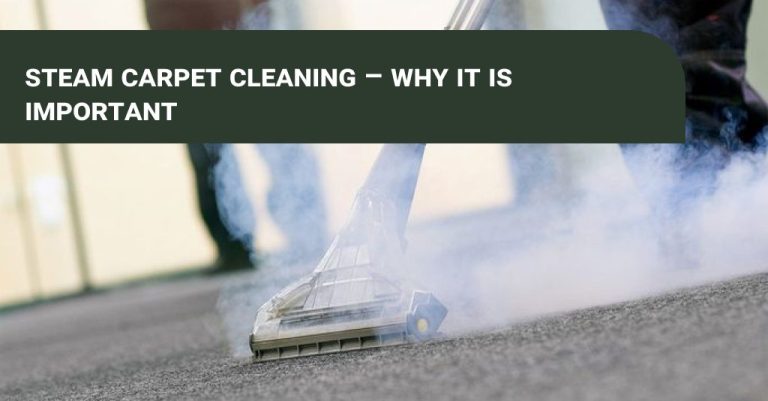 steam cleaning