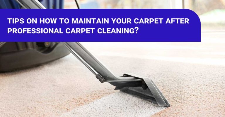 carpet cleaning