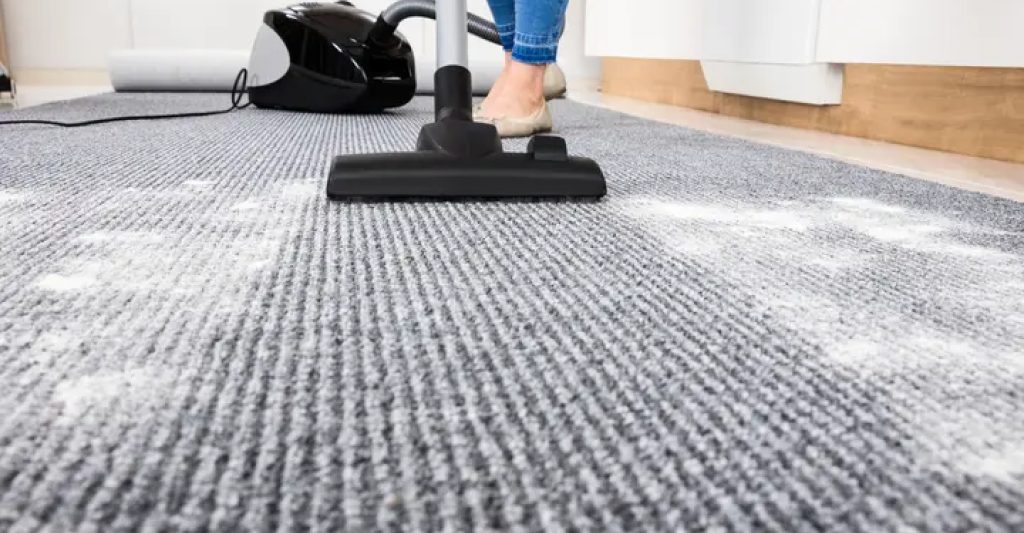 What is the best pet deodorizer for carpet cleaning1 3 1