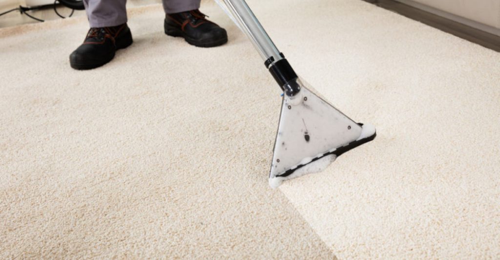 What model of carpet cleaner do you use and why 1 3