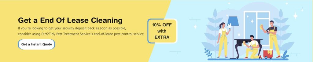 end of lease cleaning services