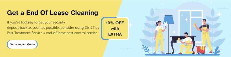 carpet steam cleaning