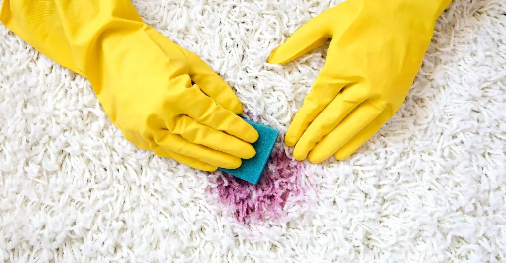 Should I do my end of lease cleaning myself? 3 Scrubbing Carpet Stain DIY