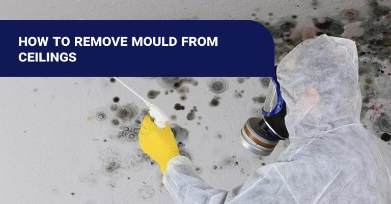 Mould Ceilings