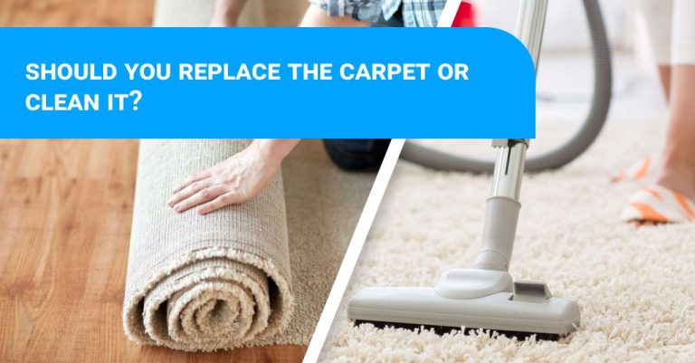 carpet clean