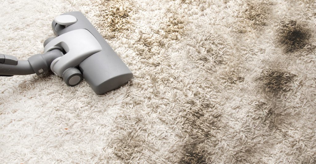 What happens when you don't clean your carpet for months? 3 vacuum cleaners