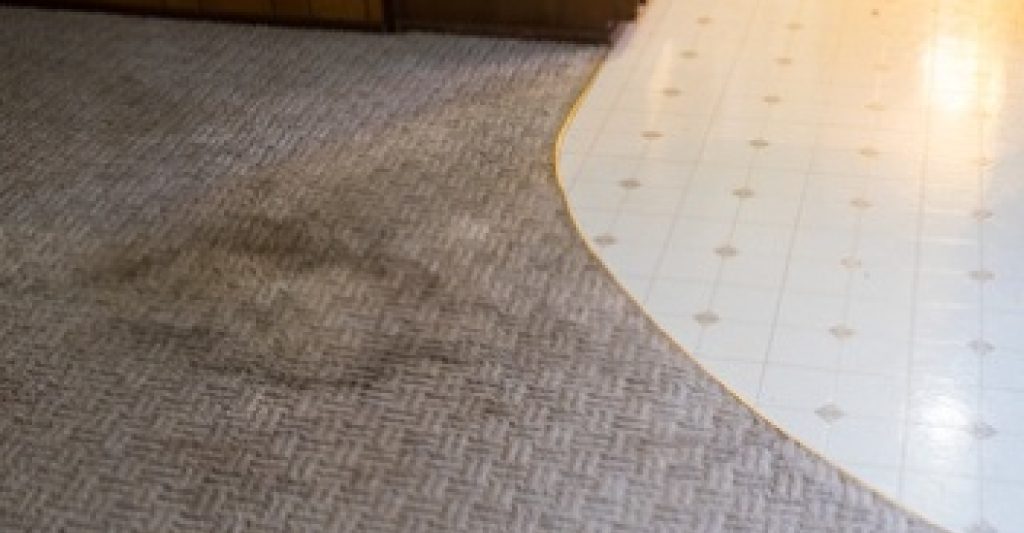 Why is carpet cleaning so important for a healthy house? 4 carpet cleaning