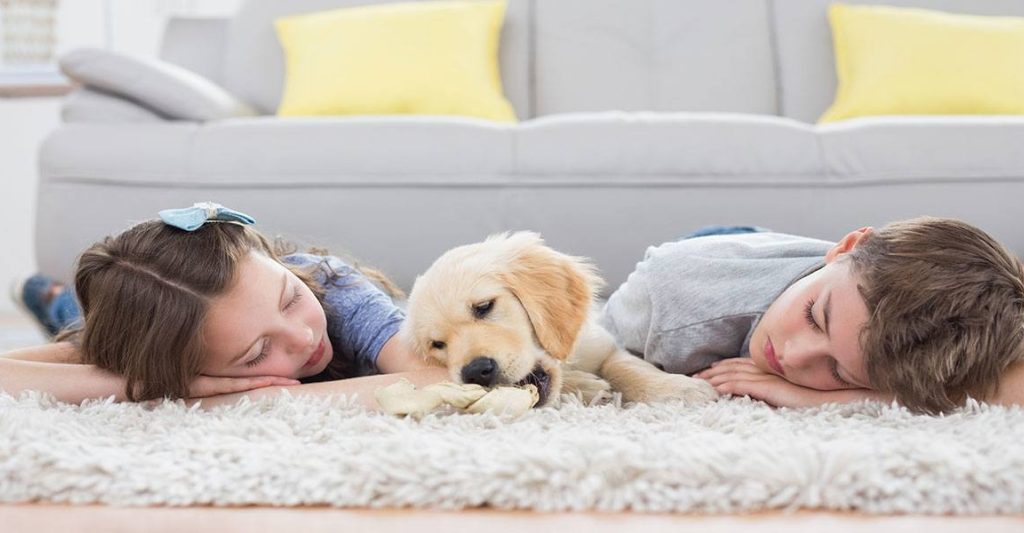 What is included in carpet steam cleaning? 2 carpet steam cleaning