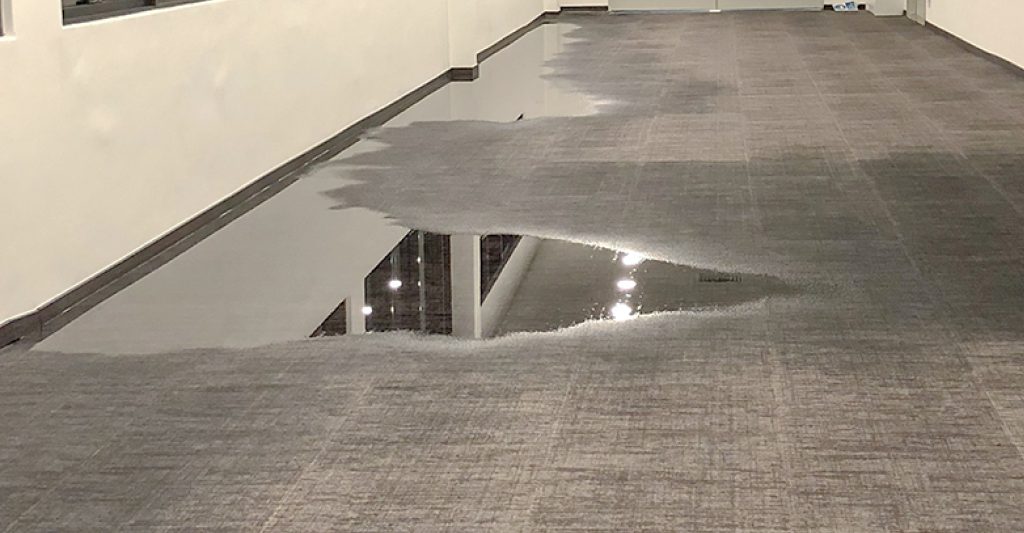 What is the normal dry time after the carpets are cleaned? 2 carpet clean