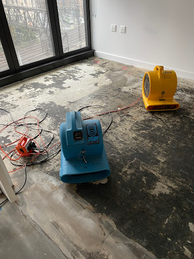 Water Damage Restoration What You Need to Know?