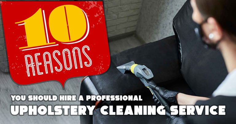 professional upholstery cleaning service