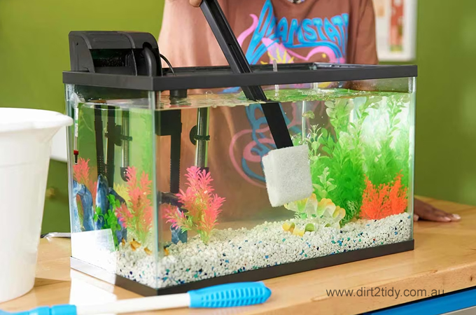 Clean a Fish Tank