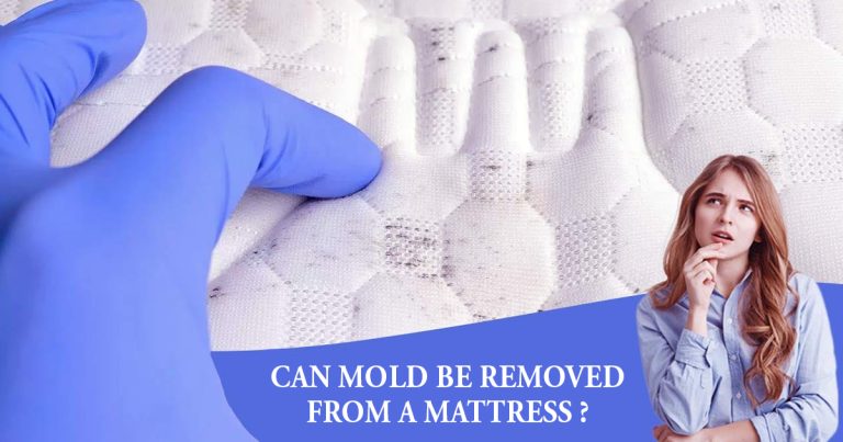 mold be removed from a mattress