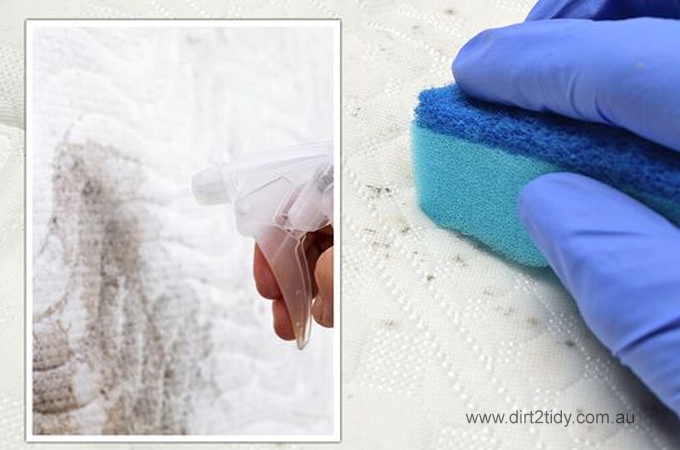 mold be removed from a mattress