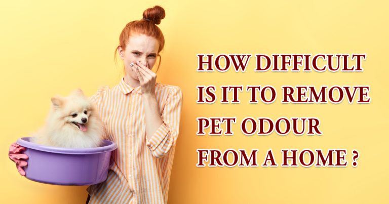 remove pet odour