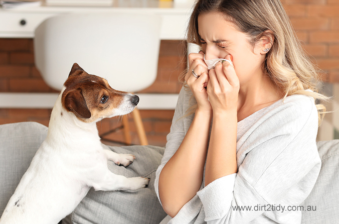 How difficult is it to remove pet odour from a home? 1 remove pet odour