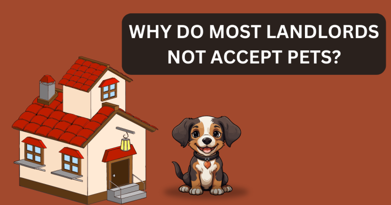 pet friendly apartment