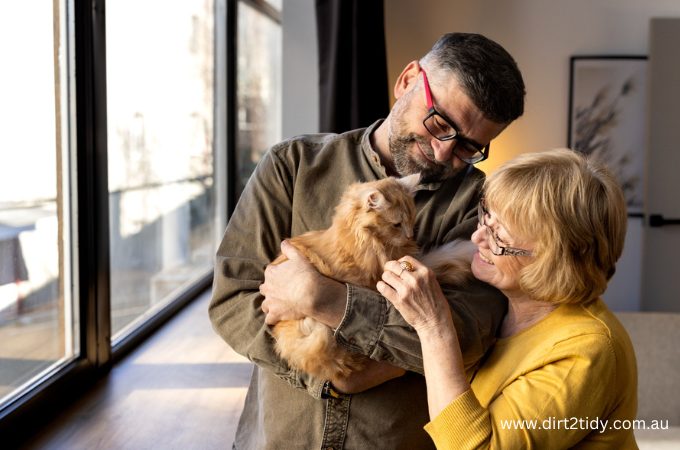 pet friendly apartment