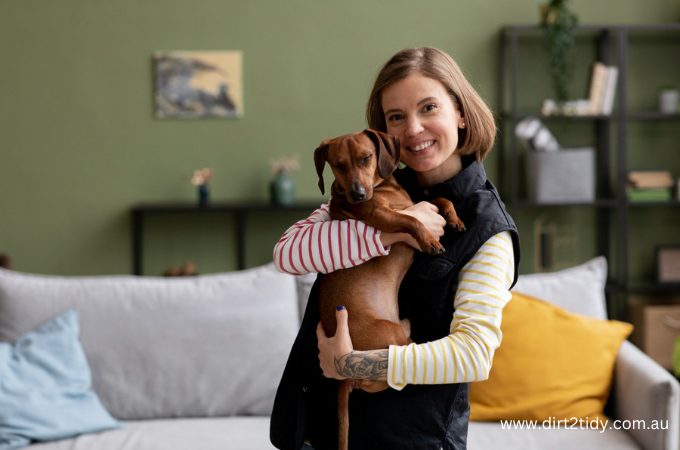 pet friendly apartment