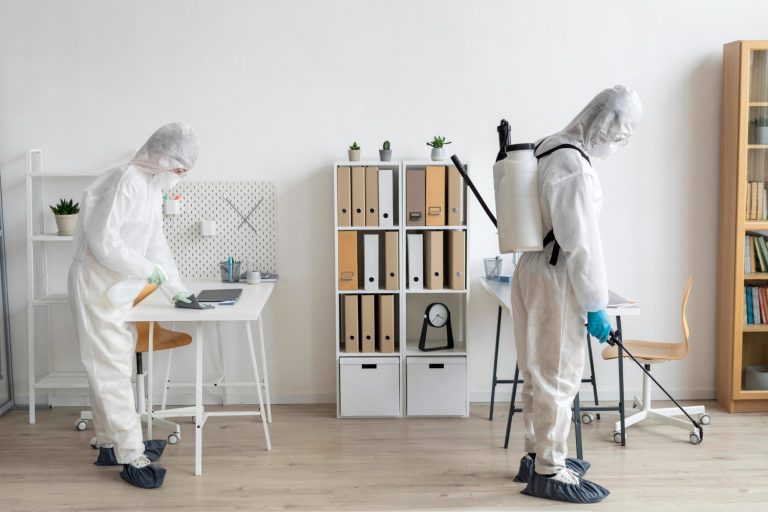 Mould & Moisture Control: How To Protect Your Home & Your Health