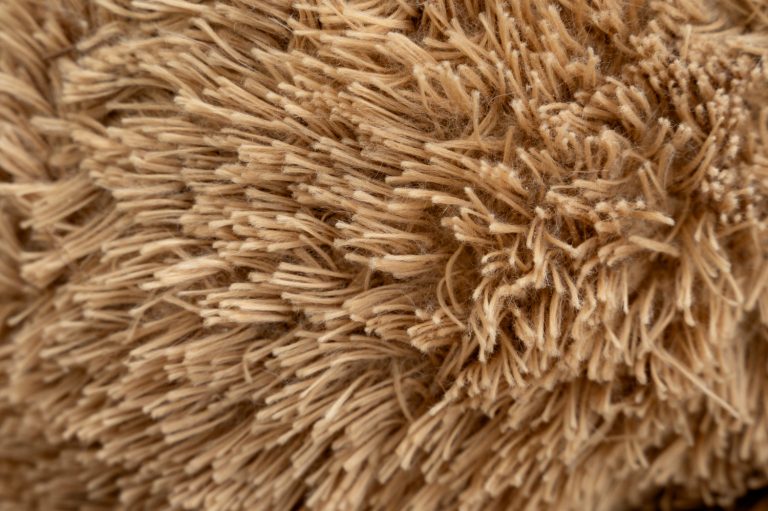 What’s the Best Way to Maintain a Shag Carpet?