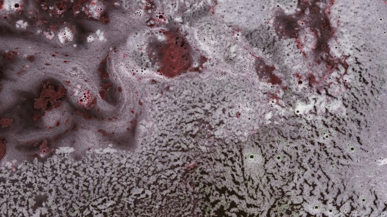 What Are The Misconceptions of Hiring Experts for Water Damaged Carpet?