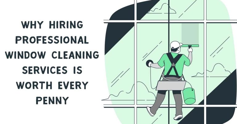 window cleaning services