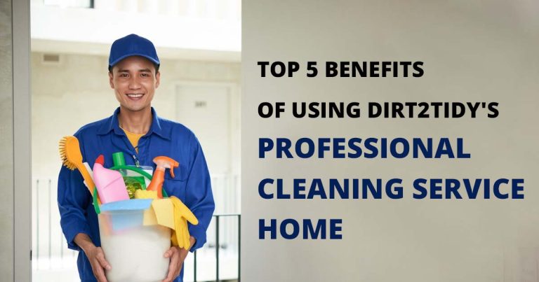 Professional Cleaning Service